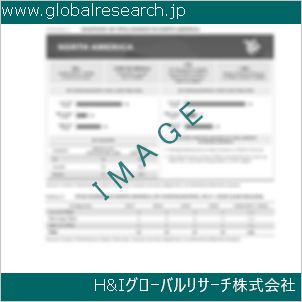 グローバルリサーチ調査資料のイメージ